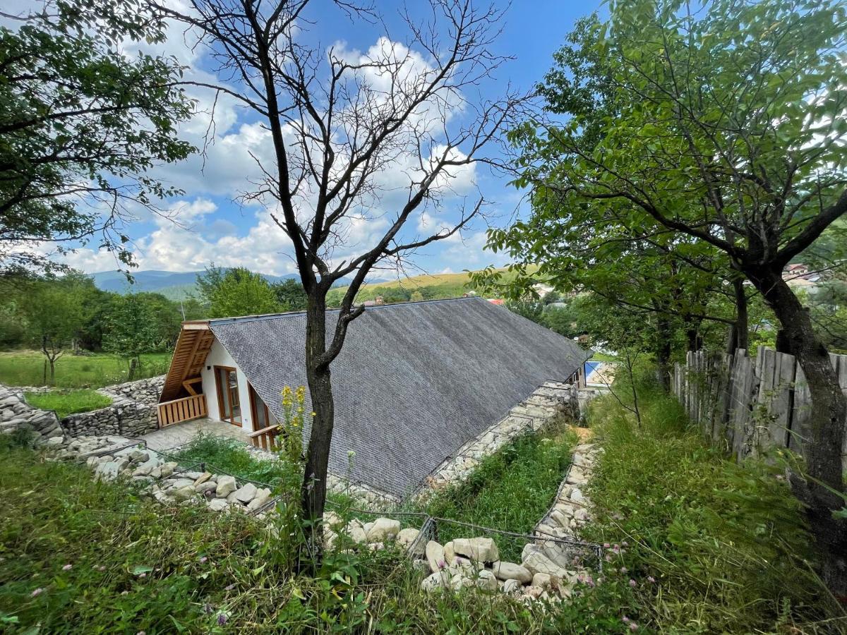 Casa Thymus Βίλα Soveja Εξωτερικό φωτογραφία