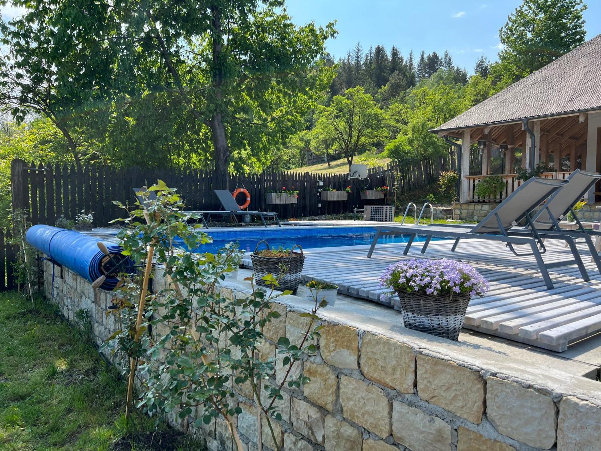 Casa Thymus Βίλα Soveja Εξωτερικό φωτογραφία